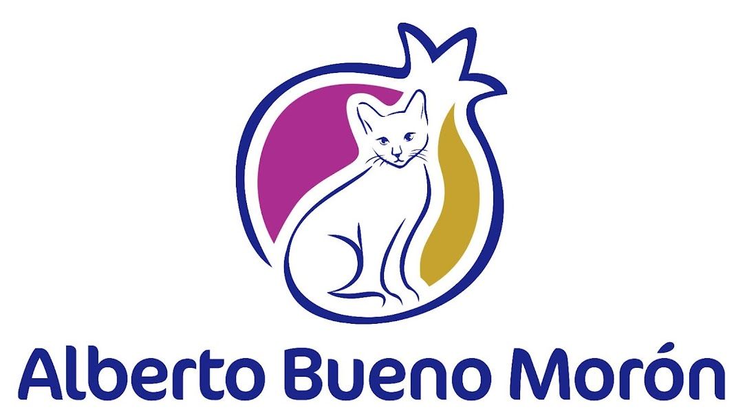 Veterinario Felino a Domicilio