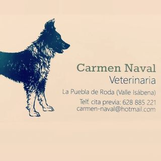 Consultorio Veterinario Carmen Naval