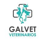 GALVET VETERINARIOS