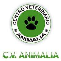 Centro Veterinario Animalia