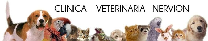 Clínica Veterinaria Nervión