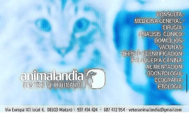 Animalandia