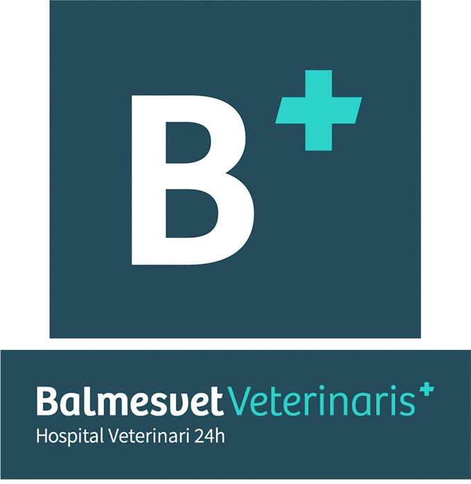Balmesvet Clinica Veterinaria