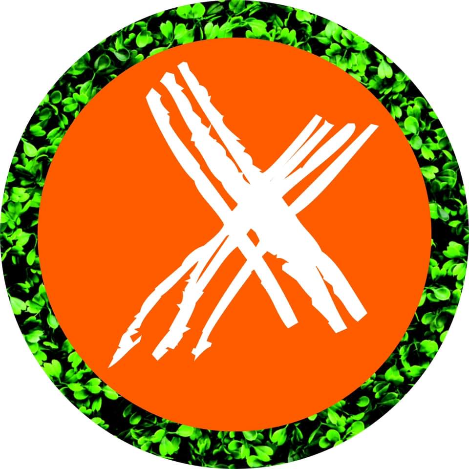 Bitxos