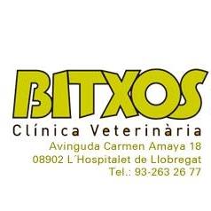 Bitxos Veterinari
