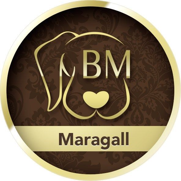 By Mascota Bcn Maragall