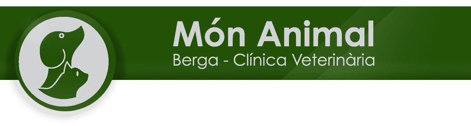 Centre Veterinari Mon Animal Berga