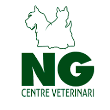 Centre Veterinari Ng Palafolls