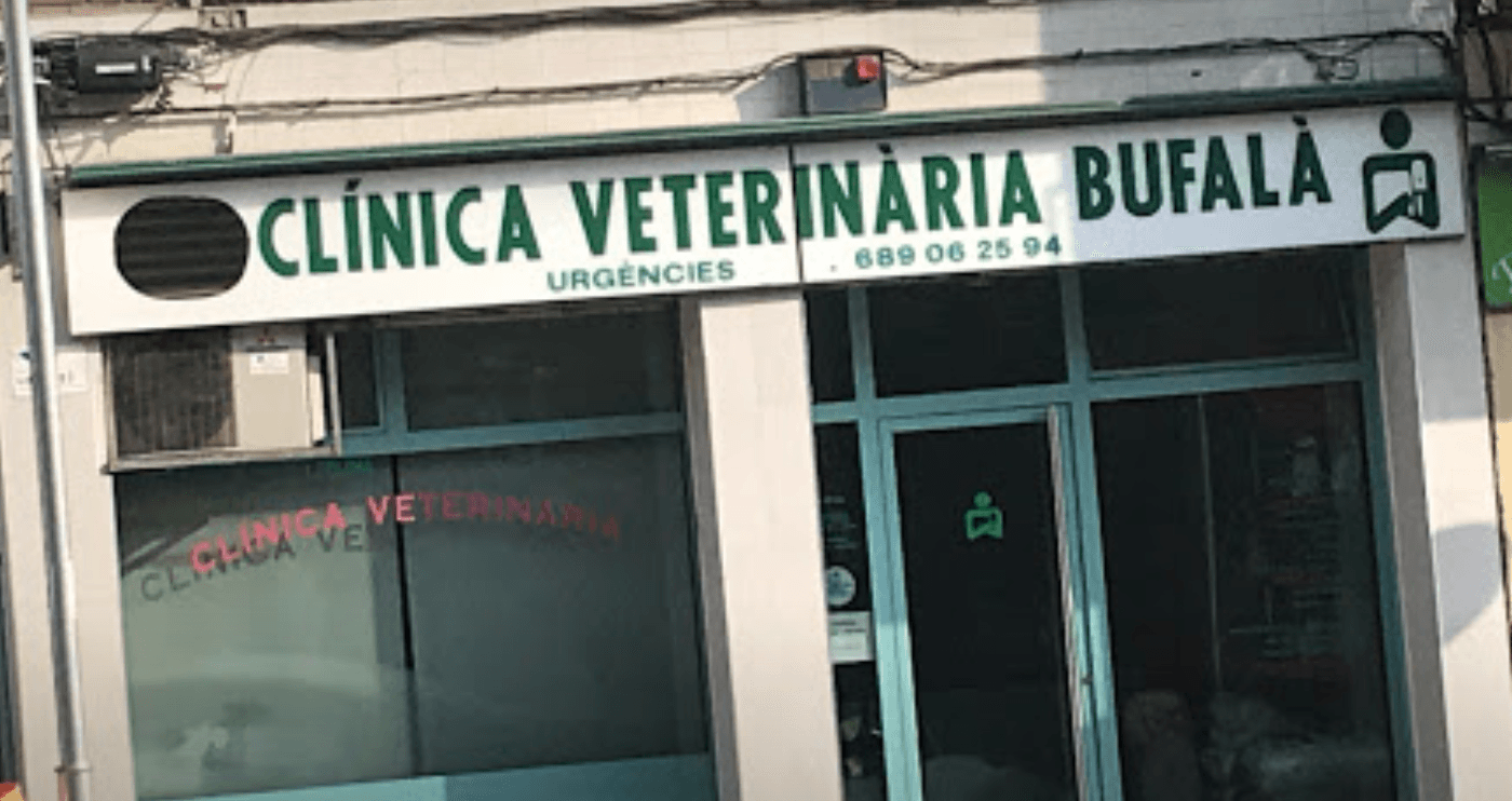 Clinica Veterinaria Bufala
