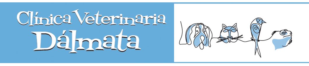 Clinica Veterinaria Dalmata