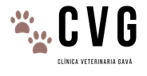 Clinica Veterinaria Gava