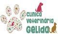 Clinica Veterinaria Gelida