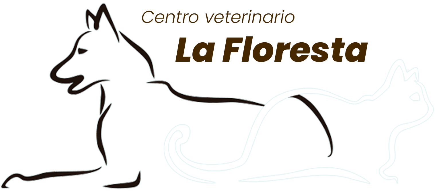 Clinica Veterinària la Floresta