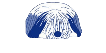 Clínica Veterinària Marina