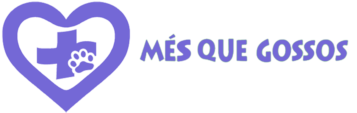 Clínica Veterinària Més Que Gossos