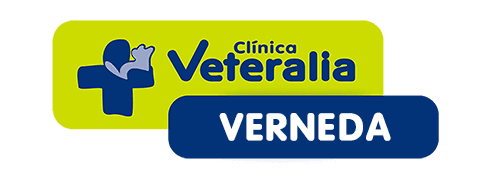 Clínica Veterinària Verneda (VETERALIA)