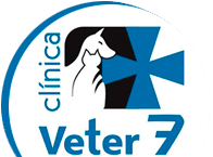 Clinica Veterinaria Veter 7