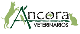 Ancora Veterinarios