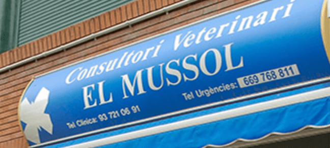 Consultori Veterinari El Mussol
