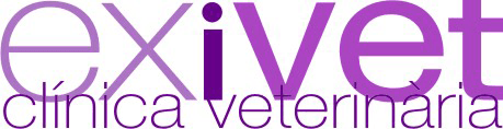 Exivet Clinica Veterinaria