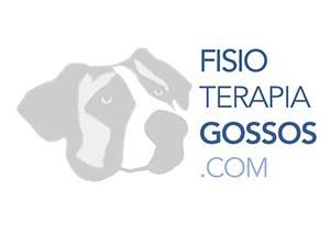 Fisioterapia gossos