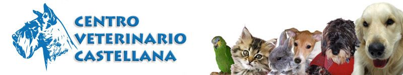 Centro Veterinario Castellana