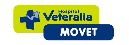 Hospital veteralia Movet