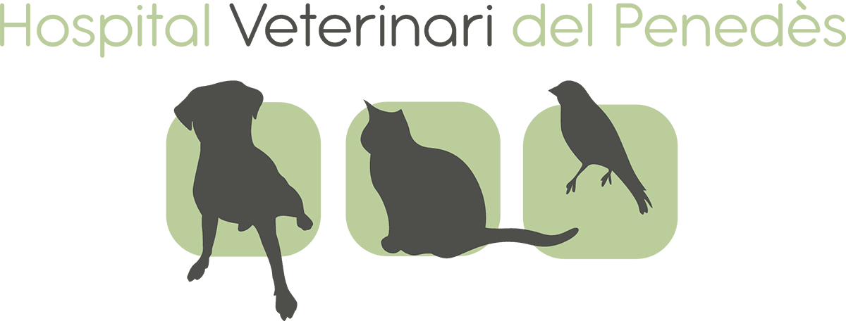 Hospital Veterinari Del Penedes