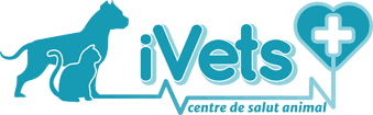 Ivets