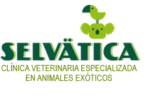 Clínica Veterinaria Selvätica