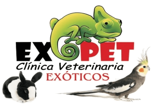 Exopet Clínica Veterinaria