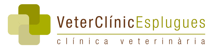 Veterclinic