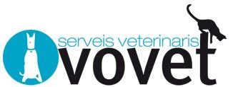 Vovet