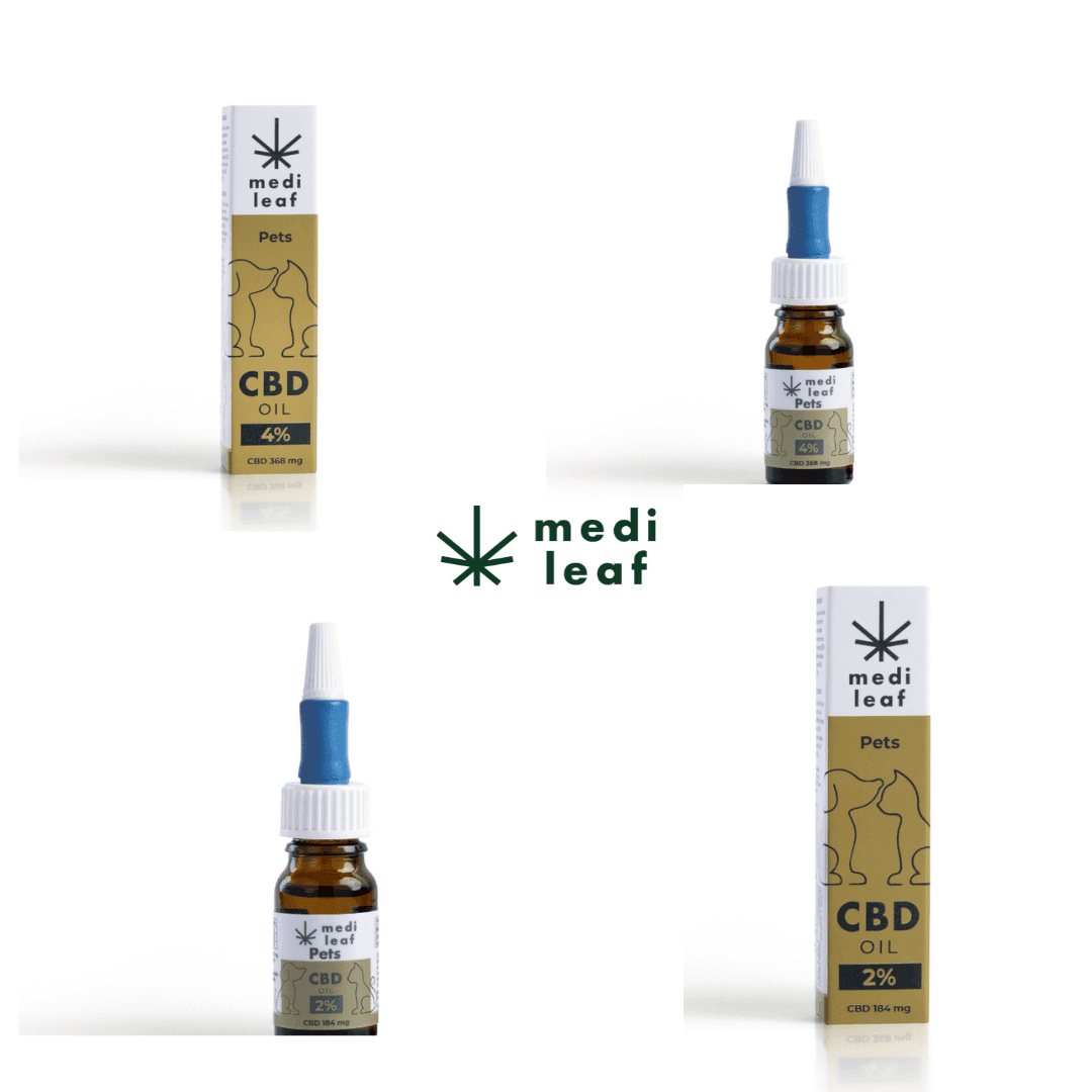 Aceite CBD de MediLeaf: Bienestar natural para tu compañero de cuatro patas